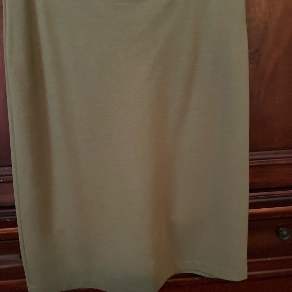 Premise skirt 12 petite